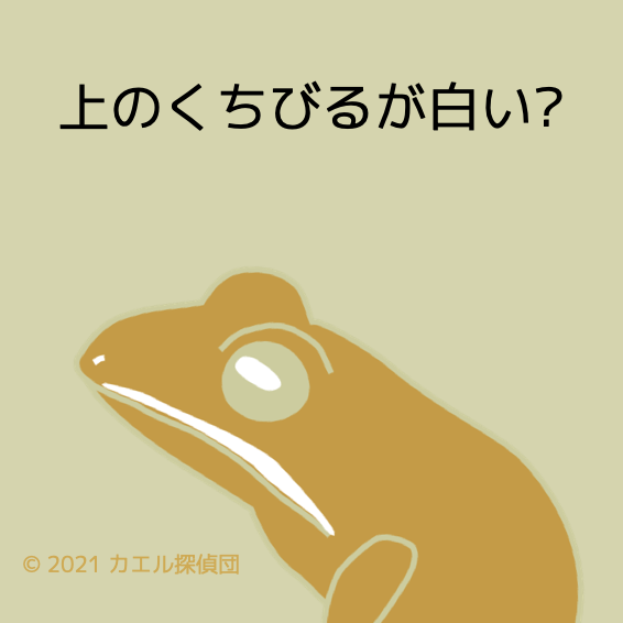 Okinawa q08