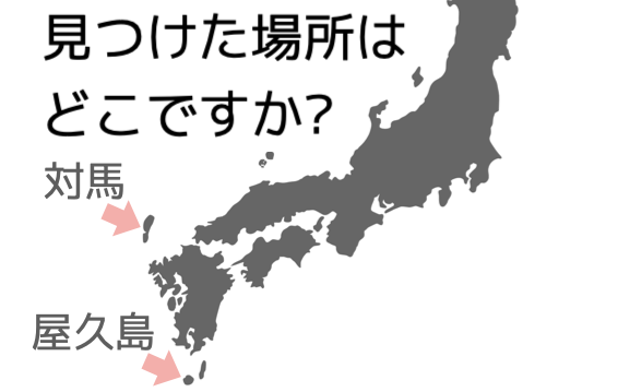 kyusyushikoku q45