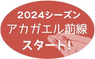 akaMap2024